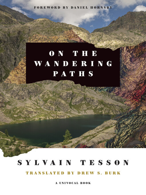 Title details for On the Wandering Paths by Sylvain Tesson - Available